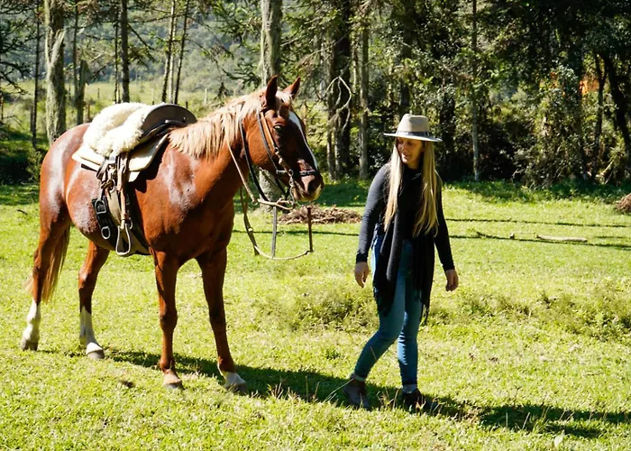 Pousada privada: Quinta dos Ventos Chalé
